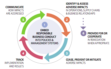 About Hredd - Responsible Business Hub